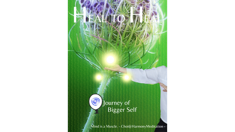 Heal to Heal - Health Foucs
