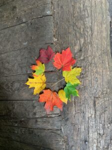 Colorful fall leaves